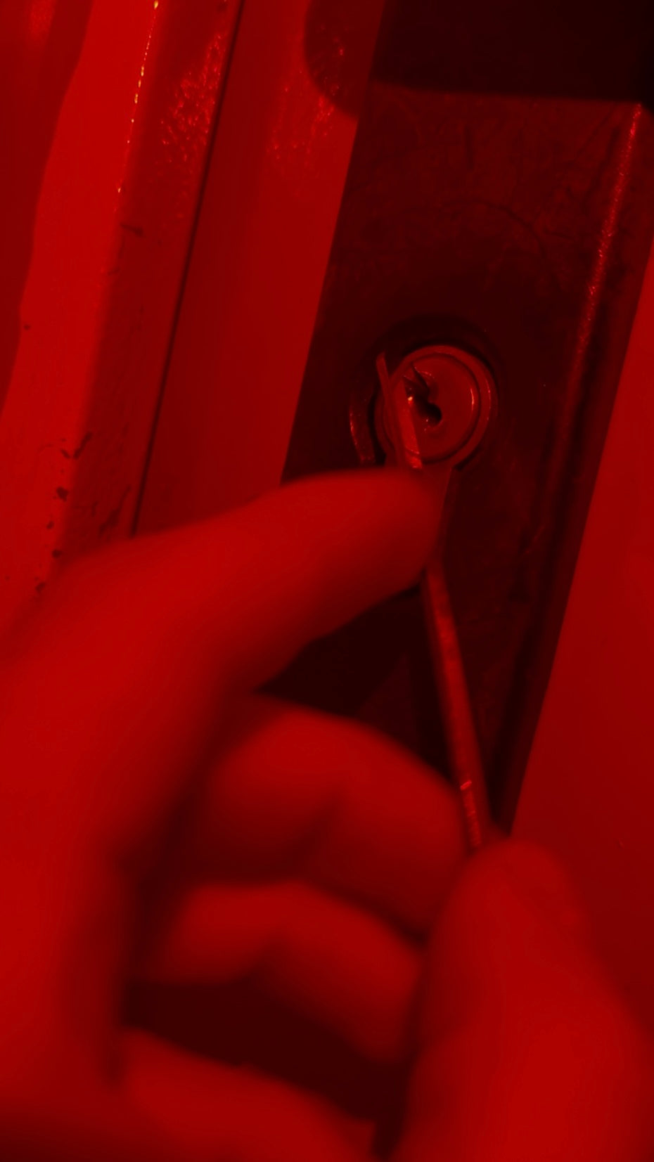 Risky Random Lockpicking Set